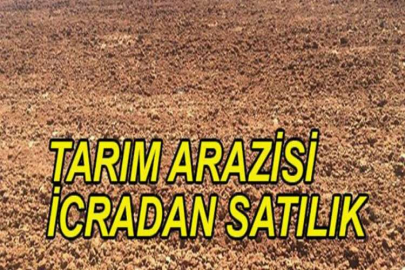 Bitlis Ahlat'ta 240 bin m² tarım arazisi icradan satılıktır