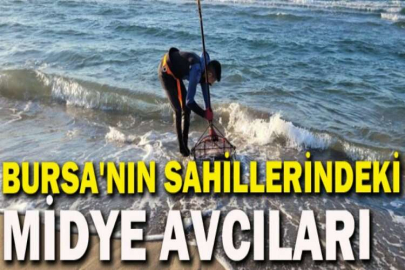 Bursa'nın sahillerindeki midye avcıları