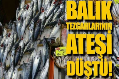 Balık tezgahlarının ateşi düştü!