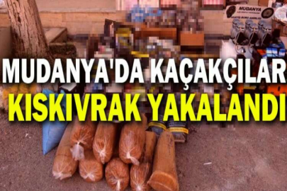 Mudanya'da kaçakçılar kıskıvrak yakalandı