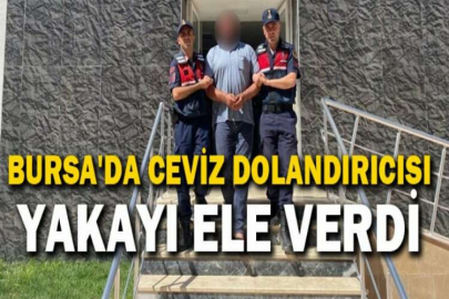 Bursa'da ceviz dolandırıcısı yakayı ele verdi