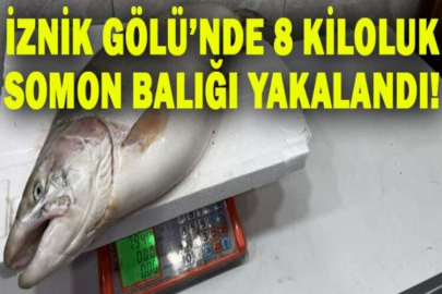 İznik Gölü’nde 8 kiloluk somon balığı yakalandı