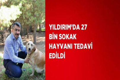 YILDIRIM’DA 27 BİN SOKAK HAYVANI TEDAVİ EDİLDİ