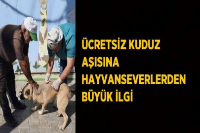 ÜCRETSİZ KUDUZ AŞISINA HAYVANSEVERLERDEN BÜYÜK İLGİ