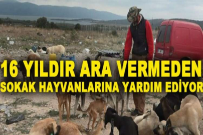 16 yıldır ara vermeden sokak hayvanlarına yardım ediyor