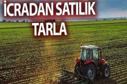 Kayseri İncesu'da 7 dönüm tarla mahkemeden satılıktır