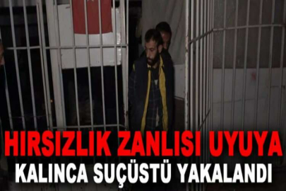 Hırsızlık zanlısı uyuya kalınca suçüstü yakalandı