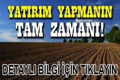 Çanakkale Biga'da 7.225 m² tarım arazisi mahkemeden satılıktır (çoklu satış)