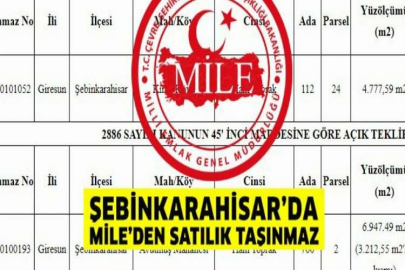 Şebinkarahisar Milli Emlak Şefliği'nden satılık ve kiralık taşınmazlar