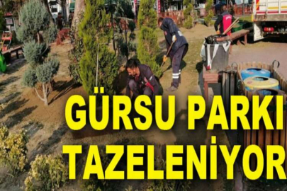 Gürsu Parkı tazeleniyor