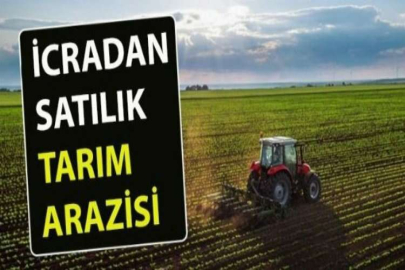 Sakarya Karasu'da üzerinde yapılar olan 957 m² tarım arazisi icradan satılacak