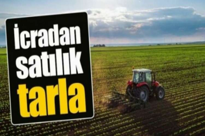 Kayseri Akkışla'da 5 dönüm tarla mahkemeden satılıktır (çoklu satış)