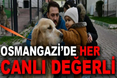 Osmangazi’de her canlı değerli