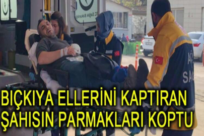 Bıçkıya ellerini kaptıran şahısın parmakları koptu