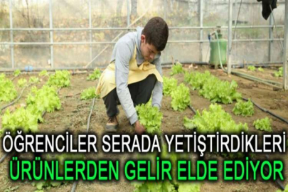 Öğrenciler serada yetiştirdikleri ürünlerden gelir elde ediyor