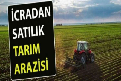 Çanakkale Lapseki'de üzerinde ahır bulunan 47.131 m² tarım arazisi icradan satılıktır