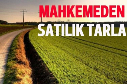 Bayburt Demirözü ilçesinde 52.102 m² tarla mahkemeden satılıktır. (çoklu satış)