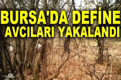 Bursa'da define avcıları yakalandı