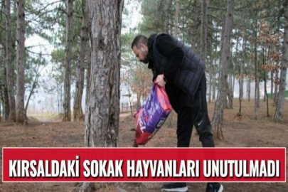 KIRSALDAKİ SOKAK HAYVANLARI UNUTULMADI