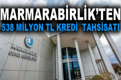 Marmarabirlik’ten 538 milyon TL kredi  tahsisatı