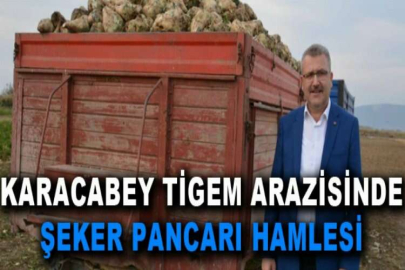 Karacabey TİGEM arazisinde şeker pancarı hamlesi