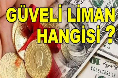 Ne altın ne dolar! Uzman isim en güvenli liman diyerek duyurdu!