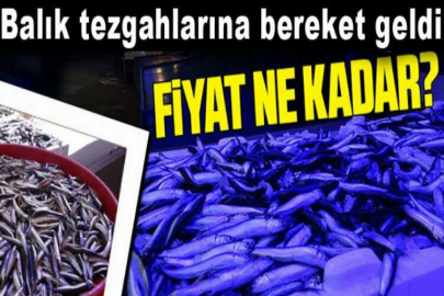 Havalar soğudu, balık tezgahlarına bereket geldi