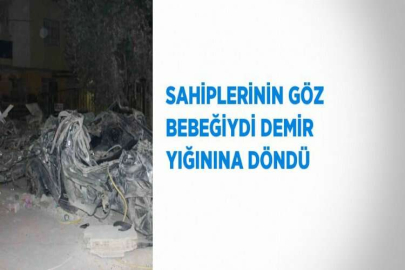 SAHİPLERİNİN GÖZ BEBEĞİYDİ DEMİR YIĞININA DÖNDÜ