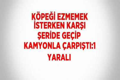 KÖPEĞİ EZMEMEK İSTERKEN KARŞI ŞERİDE GEÇİP KAMYONLA ÇARPIŞTI:1 YARALI