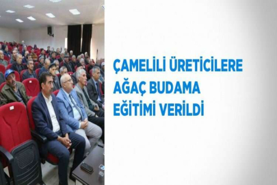 ÇAMELİLİ ÜRETİCİLERE AĞAÇ BUDAMA EĞİTİMİ VERİLDİ