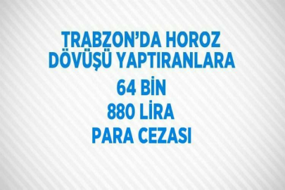 TRABZON’DA HOROZ DÖVÜŞÜ YAPTIRANLARA 64 BİN 880 LİRA PARA CEZASI