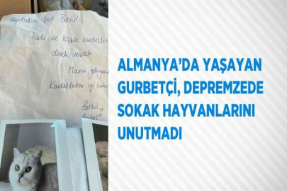 ALMANYA’DA YAŞAYAN GURBETÇİ, DEPREMZEDE SOKAK HAYVANLARINI UNUTMADI