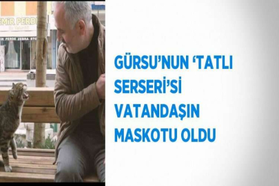 GÜRSU’NUN ‘TATLI SERSERİ’Sİ VATANDAŞIN MASKOTU OLDU