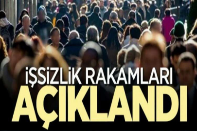 İşsizlik rakamları belli oldu