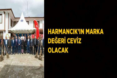 HARMANCIK’IN MARKA DEĞERİ CEVİZ OLACAK