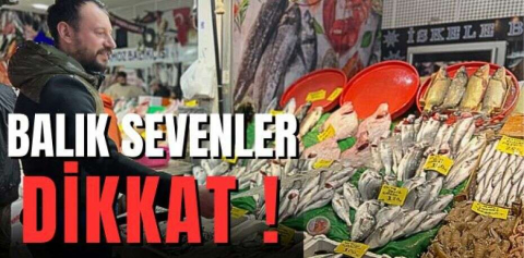 Balık sevenler dikkat !