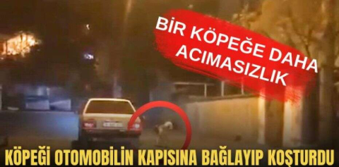 Köpeği otomobilin kapısına bağlayıp koşturdu