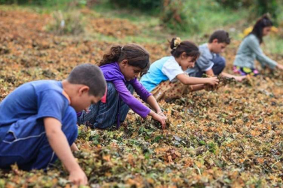 Dünya Çocuk İşçiliğiyle Mücadele Günü nedir?