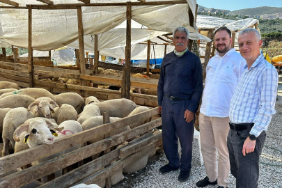 Yıldız; Kurban Satıcılarına Kulak Verin.!