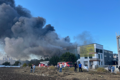 Mobilya fabrikasında yangın çıktı