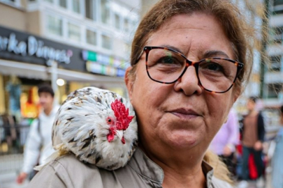 'Horoz bıdık' sahibinin omuzundan hiç inmiyor