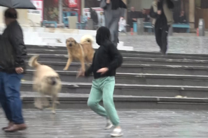 Valilik uyarmıştı! Sağanak yağışın etkili olduğu o anlar böyle görüntülendi