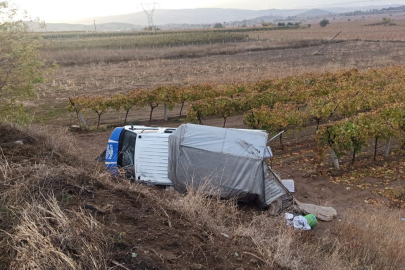 Kontrolden çıkan kamyonet üzüm bağına devrildi: 5 yaralı