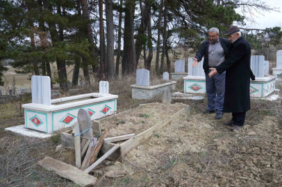 Kış uykusuna yatamayan ayılar, mezarları kazmaya başladı