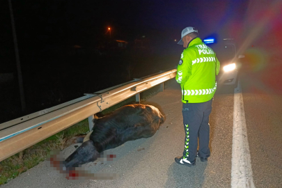 Anne ve kız ölümden döndü! Korkunç trafik kazası: Mandaya çarptı