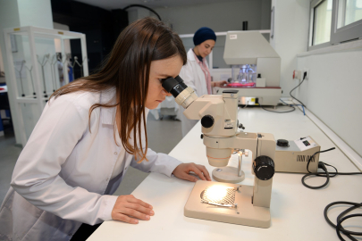 BUÜ’lü Öğrencilerin Projelerine TÜBİTAK Tarafından Destek