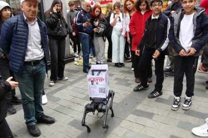 Robot Köpek Jidoka Dog Taksim