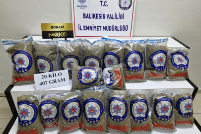 Balıkesir'de Çay Dediler, Bonzai Çıktı