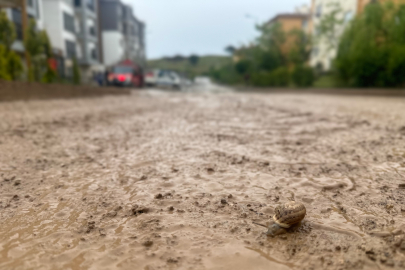 Bursa'da Evleri Su Bastı, Yollar Kapandı