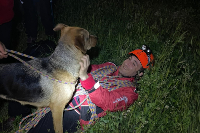 Uludağ'da bir kayada mahsur kalan köpeğe kurtarma operasyonu!